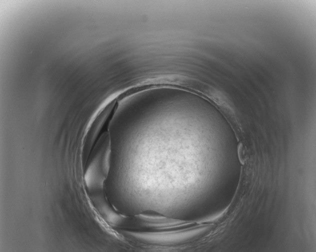 X0000081470792200701191804