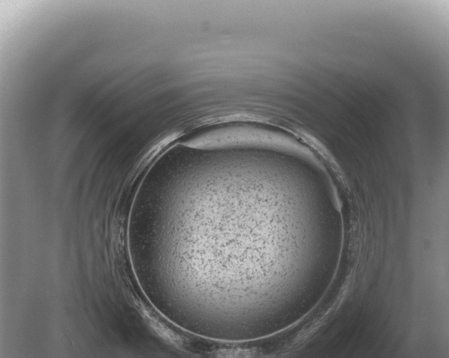 X0000081470793200701191804