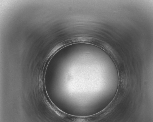 X0000081470794200701191804