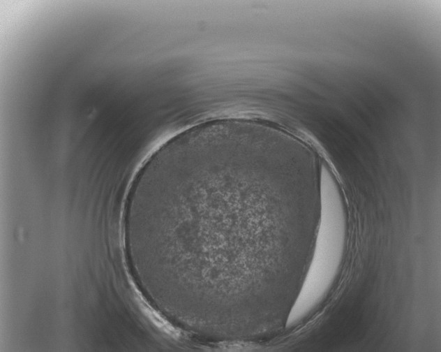 X0000081470795200701191804