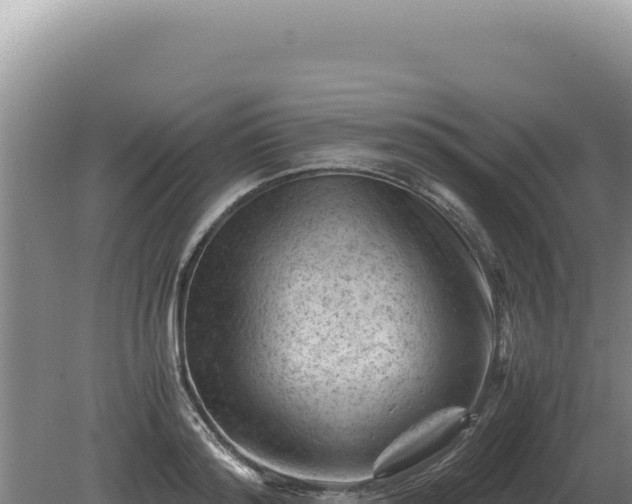 X0000081470796200701191804