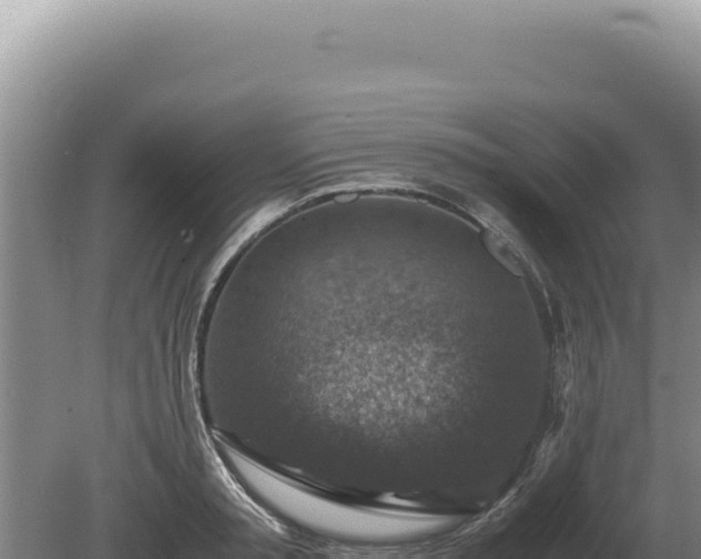 X0000081470797200701191804