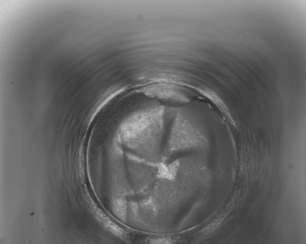 X0000081470798200701191804