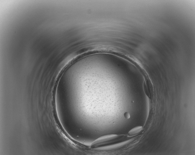 X0000081470799200701191804