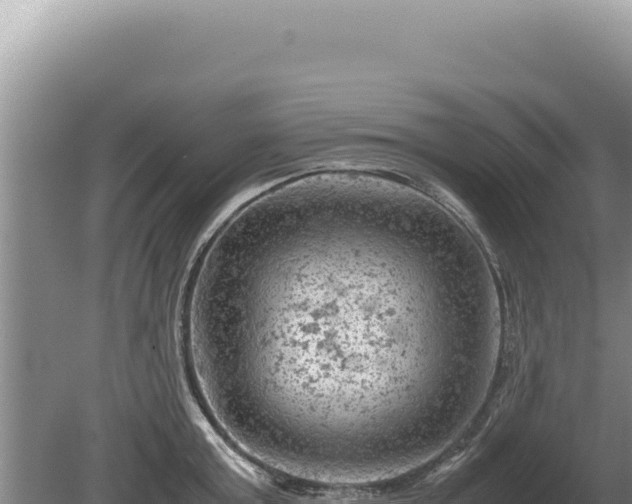 X0000081470803200701191804