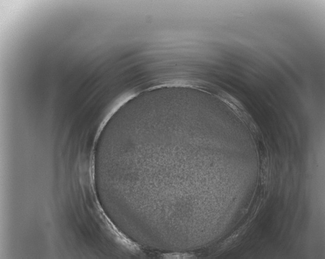 X0000081470804200701191804