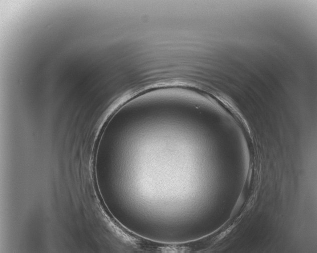 X0000081470805200701191804