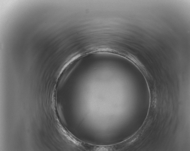 X0000081470806200701191804