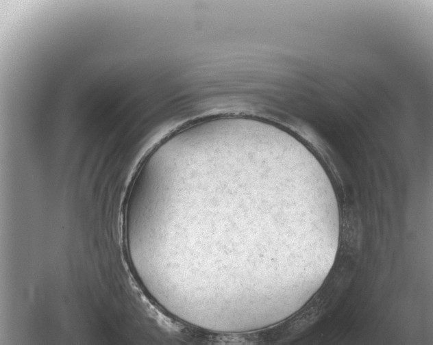 X0000081470807200701191804