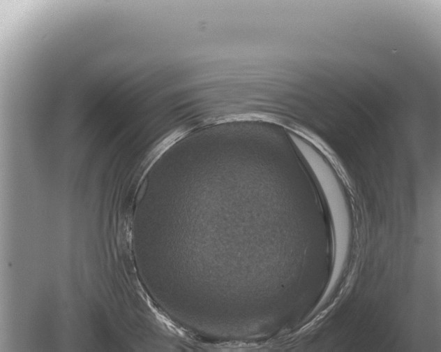 X0000081470809200701191804