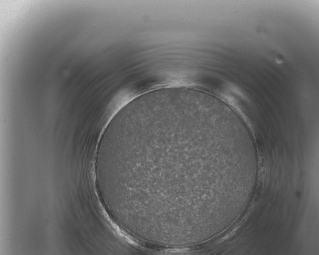 X0000081470810200701191804