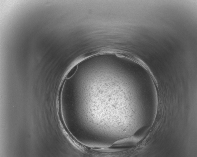 X0000081470811200701191804