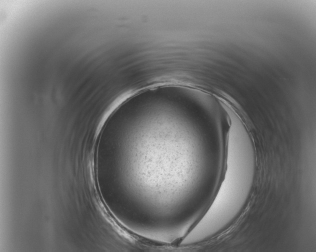 X0000081470812200701191804