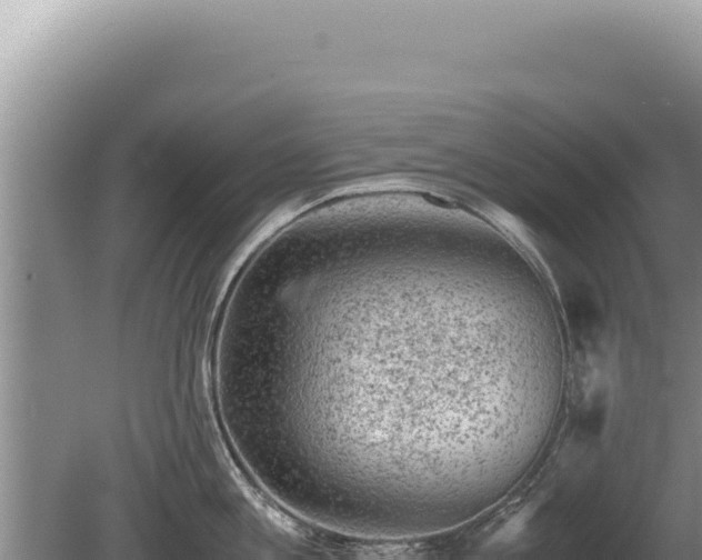 X0000081470813200701191804