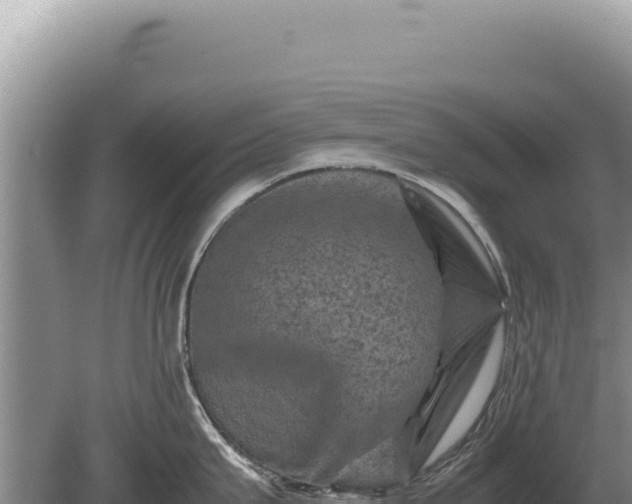 X0000081470815200701191804