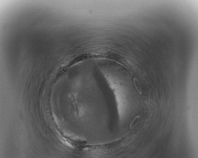 X0000081470817200701191803