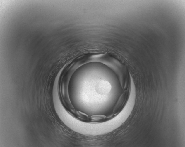 X0000081470818200701191803