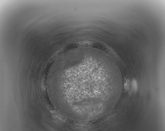 X0000081470819200701191803