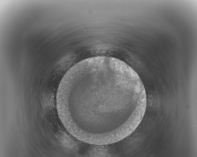 X0000081470820200701191803