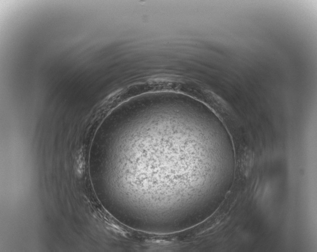 X0000081470821200701191803