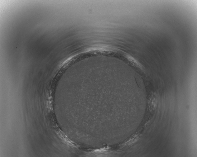 X0000081470822200701191803