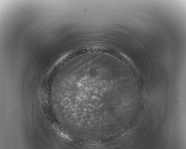 X0000081470823200701191803