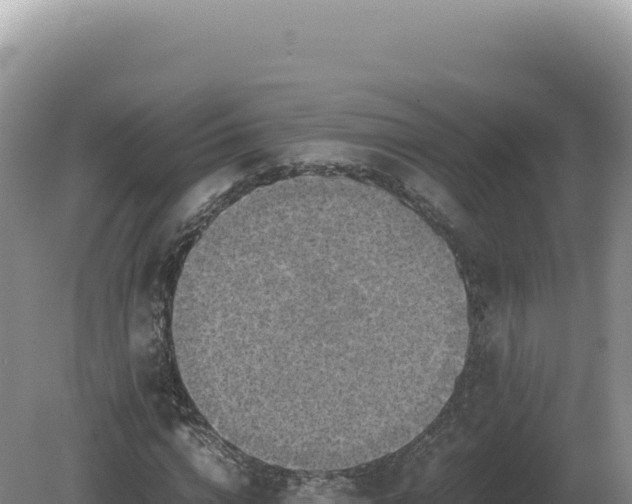 X0000081470824200701191803