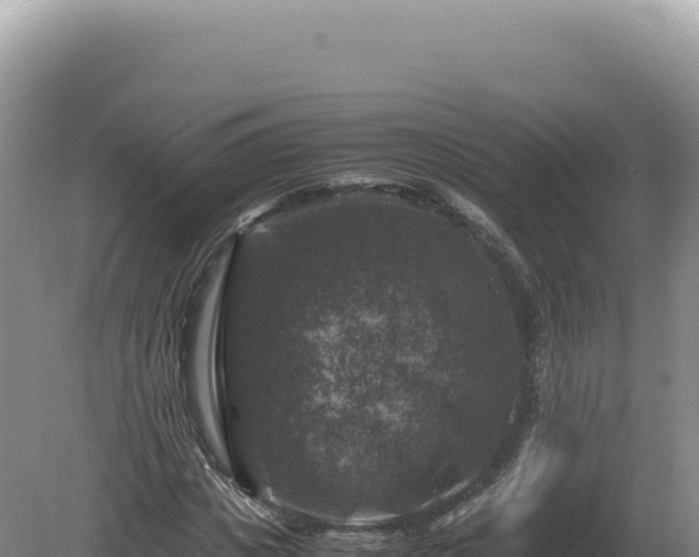 X0000081470825200701191803