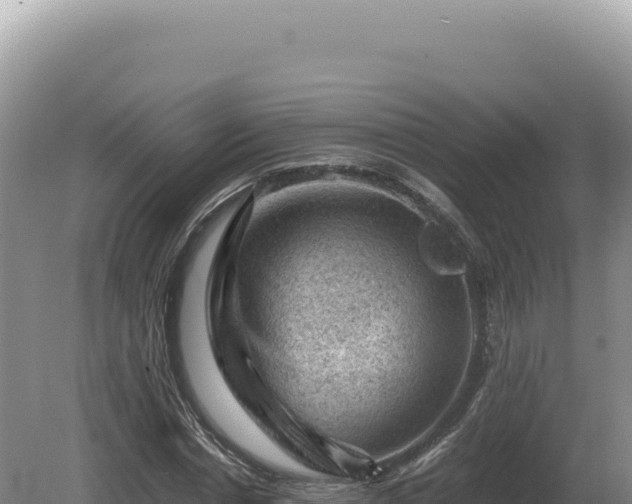 X0000081470826200701191803