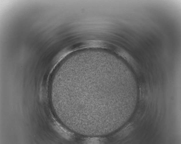 X0000081470828200701191803