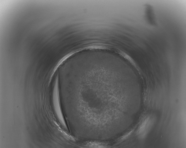 X0000081470829200701191803