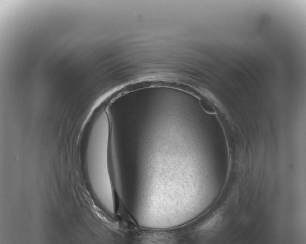 X0000081470830200701191803