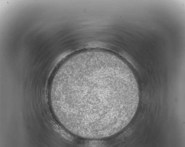 X0000081470832200701191803