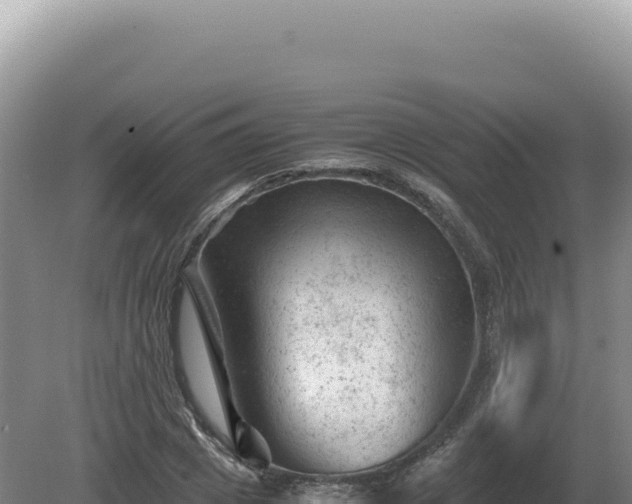 X0000081470833200701191803