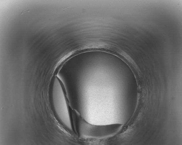 X0000081470834200701191803