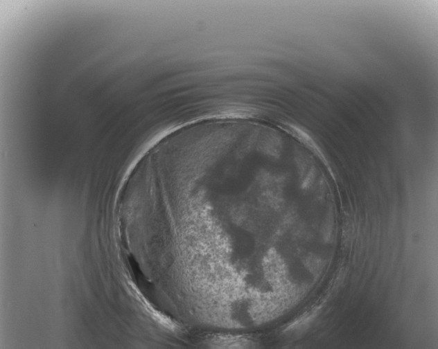 X0000081470835200701191803