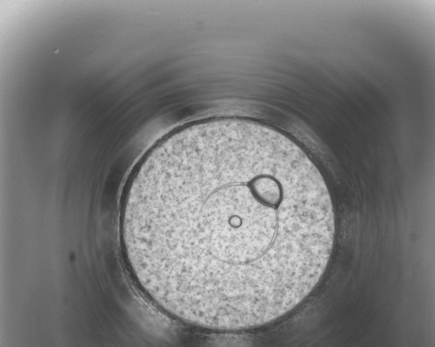 X0000081470836200701191803