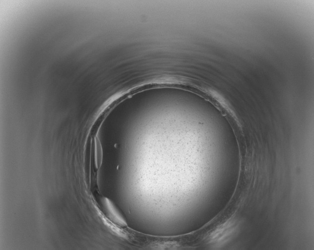 X0000081470837200701191803