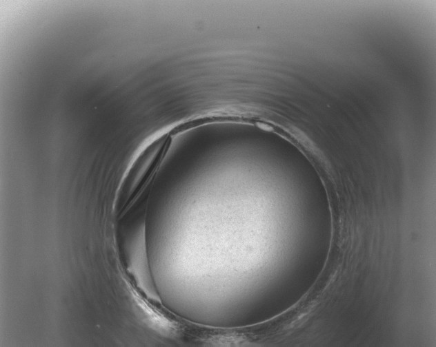 X0000081470838200701191804