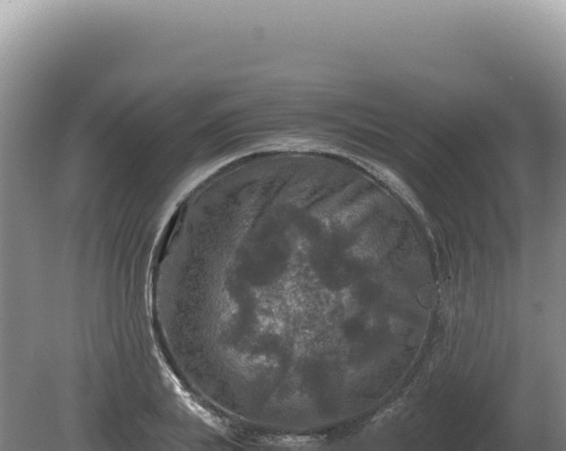 X0000081470839200701191804