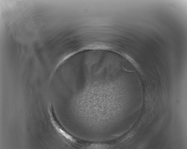 X0000081470840200701191804