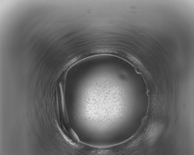 X0000081470841200701191804