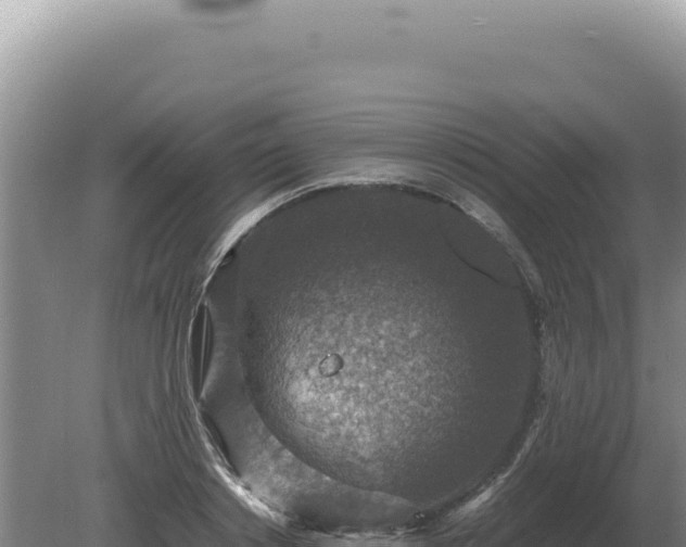 X0000081470842200701191804