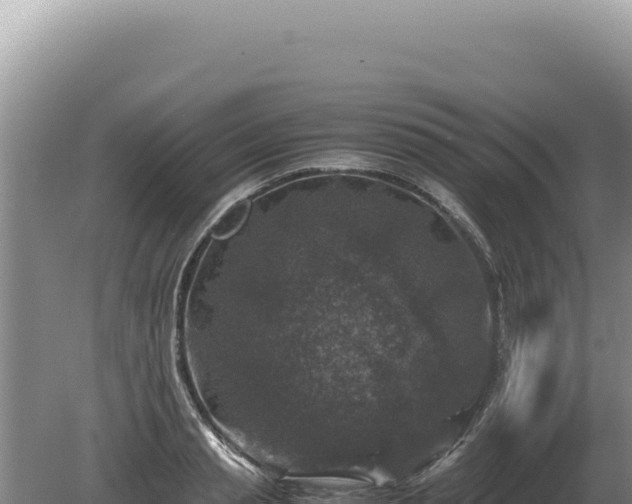 X0000081470845200701191804