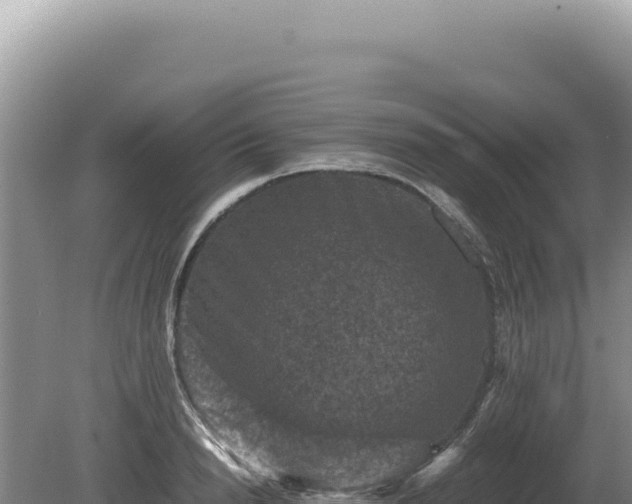 X0000081470846200701191804