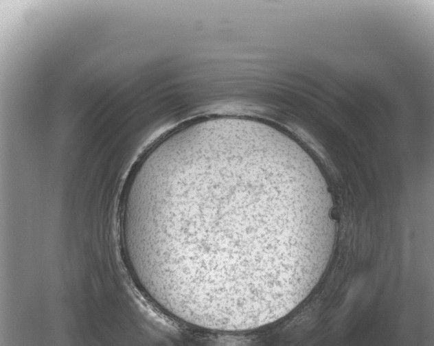 X0000081470848200701191804