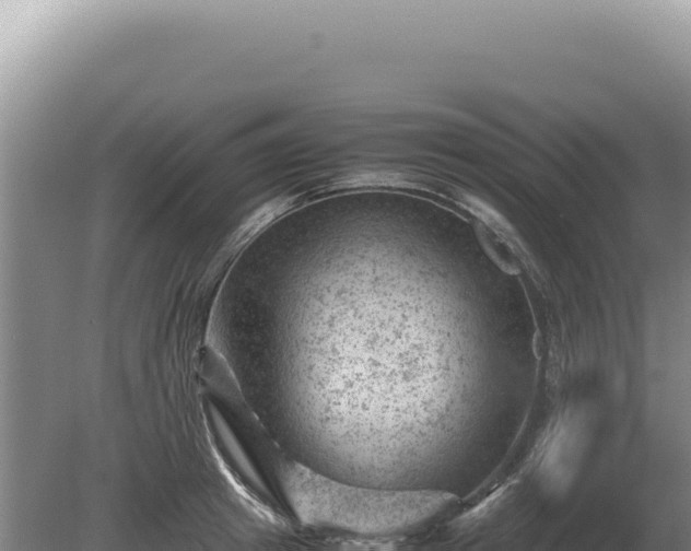 X0000081470849200701191804