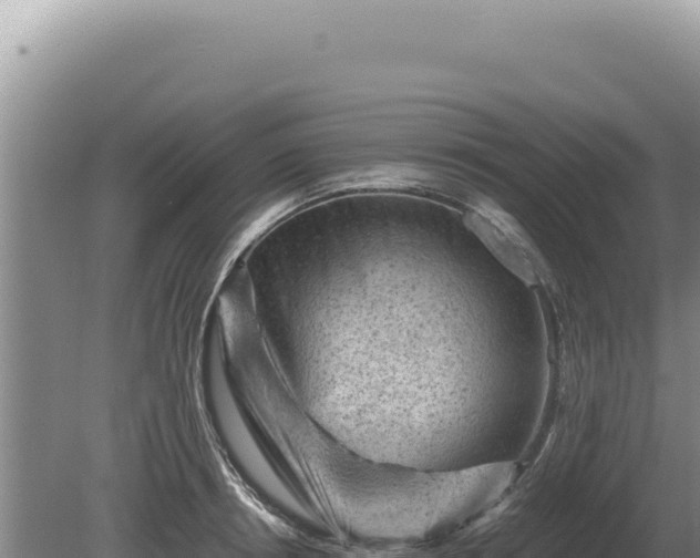 X0000081470850200701191804