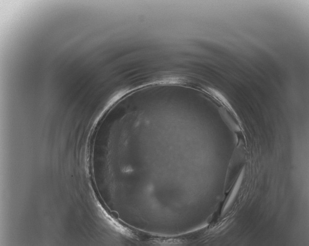 X0000081470851200701191804