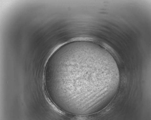 X0000081470852200701191804